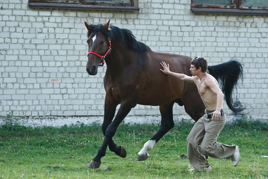 Sergiusz i Zwon